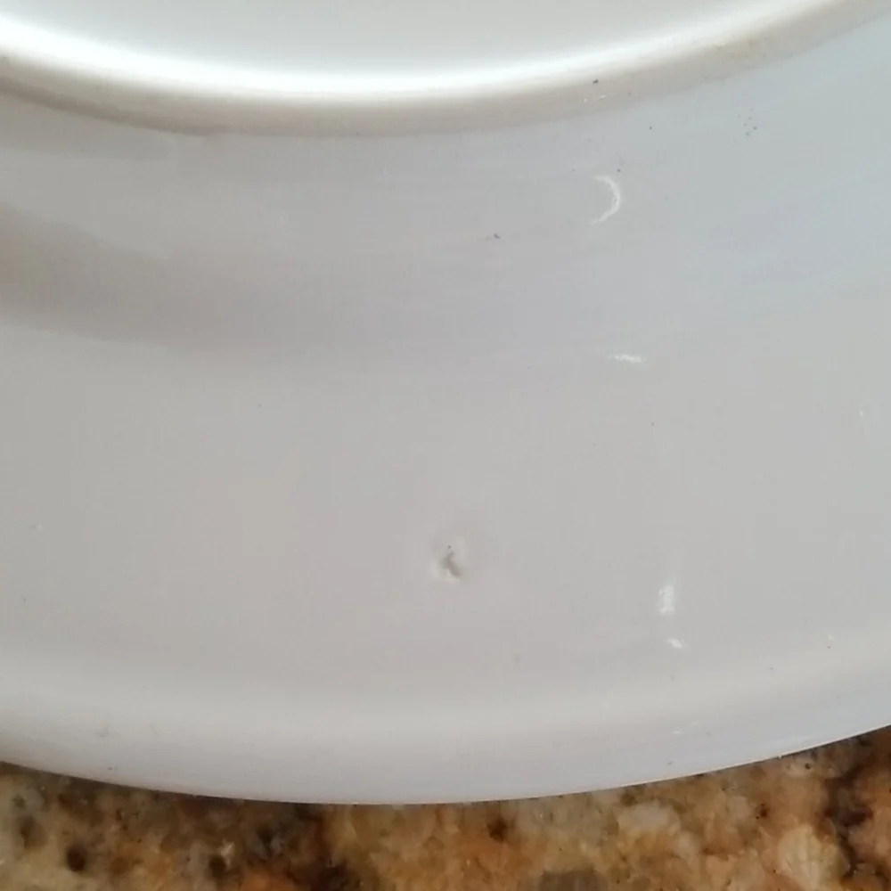 VILLEROY & BOCH Botanica Porcelain Dinner Plate